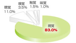 情報の80%は視覚によるもの